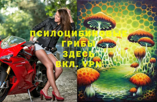 сатива Абинск