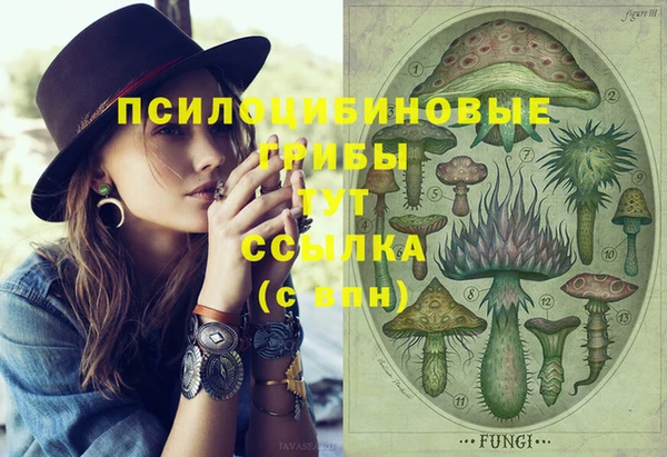 сатива Абинск