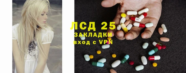 сатива Абинск